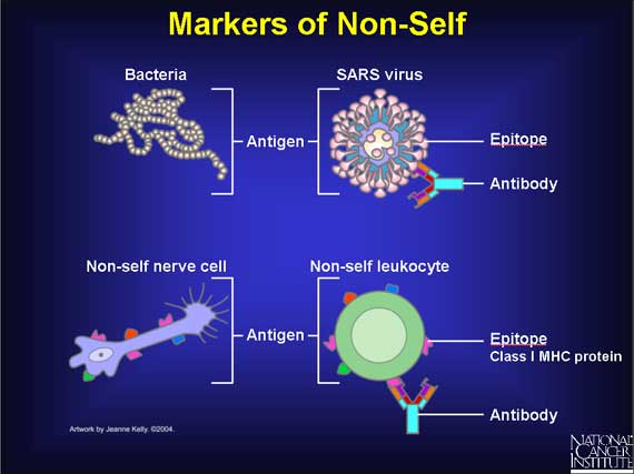 Markers of Non-Self