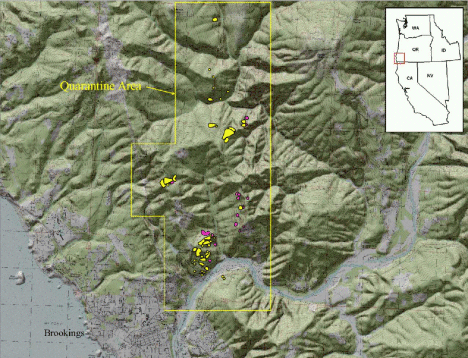 Location of SOD eradication sites and quarantine area in southwest Oregon, December 2004.