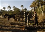IRAQI FARMER - Click for high resolution Photo