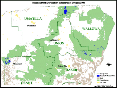 Map of northeastern Oregon showing locations of defoliation by DFTM in 2001