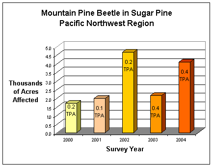 MPB activity in sugar pine was relatively high in 2004.