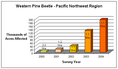 Western pine beetle activity has increased steadily since 2000.