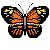 animated butterfly image