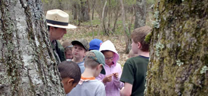 A ranger and a group of students explore meet between two large trees during an Education Program.