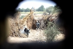 SNIPER SITE - Click for high resolution Photo