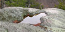 Water stands in a pit, called an Opferkessel, in a boulder on Old Rag Mountain.