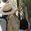 A ranger program is a unique opportunity to learn about Shenandoah National Park.
