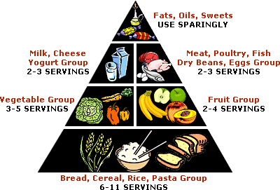 Food Pyramid Guide