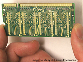 Circuit Board - copyright © 2006 Lauren Focarazzo - used with permission
