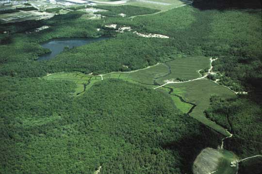 Surface-water bodies, such as ponds and streams, are interconnected through the ground-water-flow system on western Cape Cod. Aerial view northward of Quashnet River surrounded by cranberry bogs near Moody Pond and the airfield of the Massachusetts Military Reservation. Photo by Denis LeBlanc.