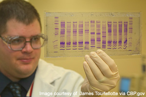 Lab Tech Viewing DNA - copyright © 2006 James Tourtellotte via CBP.gov - used with permission