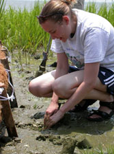 Tisa Shostik, Habitat Specialist, NOAA