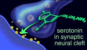 graphic of serotonin in synaptic neural cleft