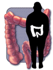 graphic of colon