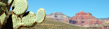 The vast expanse of the Tonto Plateau
