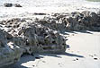 photo of rock outcrop on beach