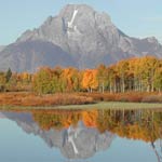 Mt. Moran and fall color on trees with reflection. Photo by P. Hattaway