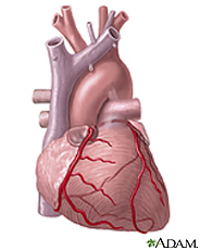 Ilustración del corazón