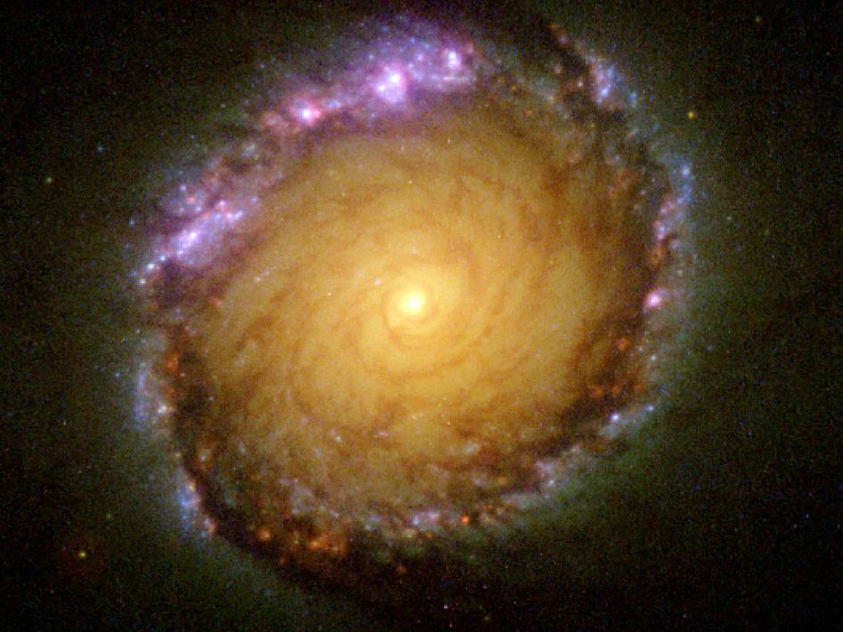 Barred spiral galaxy NGC 1512