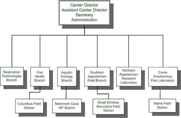 LSC Organization Chart