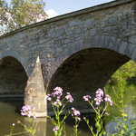 Burnside Bridge in Spring