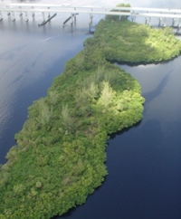 Caloosahatchee NWR