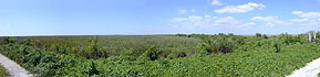 panoramic photo of a Water Conservation Area WCA