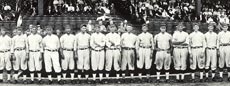 Washington Senators