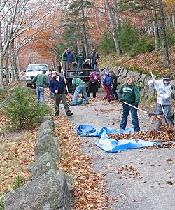 A group of volunteers rakes leaves from the carriage roads.