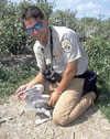 USFWS Photo.