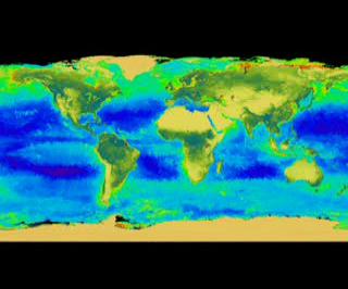 The SeaWiFS instrument looks at the world's oceans and land to observe the plant life and phytoplankton.  In this flat projection view, you can see the whole world pulse with life.