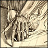 Ontleding des menschelyken lichaams by Govard Bidloo