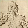 Tabulae Anatomicae by Giulio Casserio