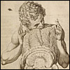 Tabulae Anatomicae... by Giulio Casserio and Odoardo Fialetti