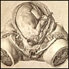 The Anatomy of the Human Gravid Uterus by William Hunter and Jan van Riemsdyk