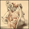 Illustrations of dissections by Ellis and Ford