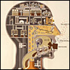 Man as Industrial Palace by Fritz Kahn