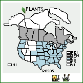 Distribution of Ranunculus sceleratus L. var. sceleratus. . 