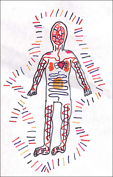 Dream Anatomy drawing by Jacqueline Kantor