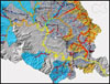 Using GIS and Scale Linking to Set Priorities for Culvert Replacements in the Tualatin Basin, Oregon