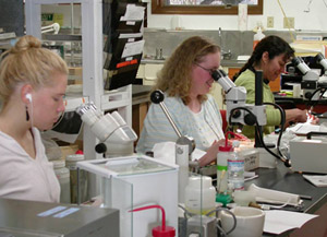 Photo of FEDZ Lab work