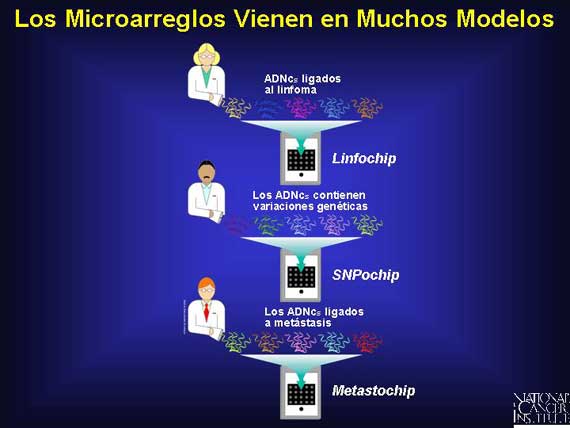 Los Microarreglos Vienen en Muchos Modelos