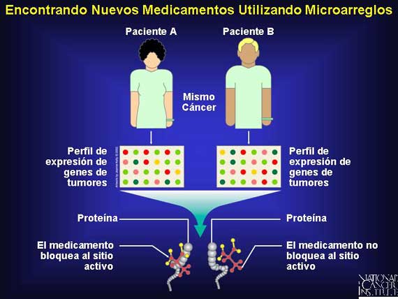 Encontrando Nuevos Medicamentos Utilizando Microarreglos