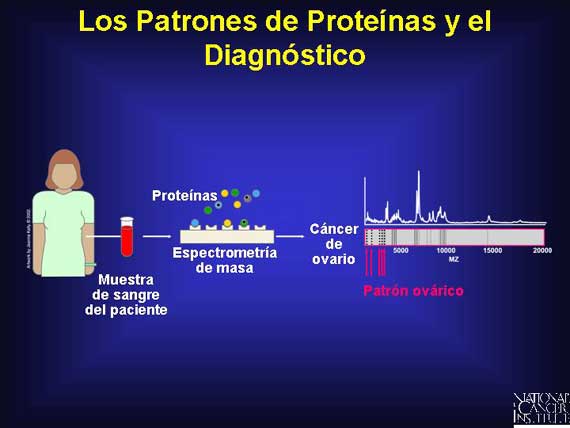 Los Patrones de Proteínas y el Diagnóstico
