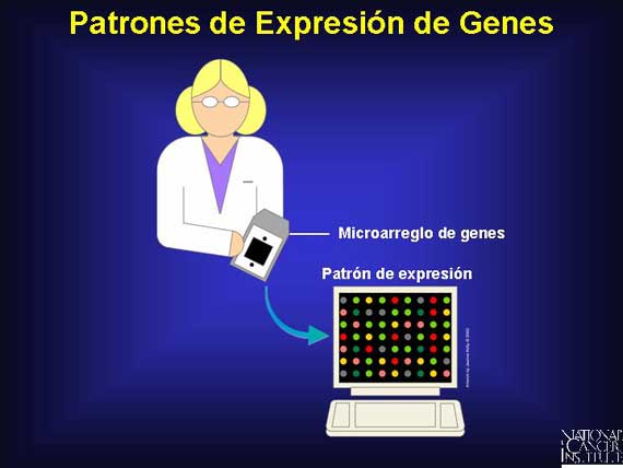 Patrones de Expresión de Genes