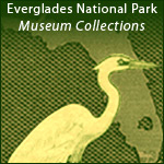 Closeup of Everglades Postage Stamp