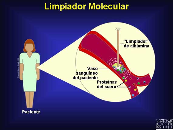 Limpiador Molecular