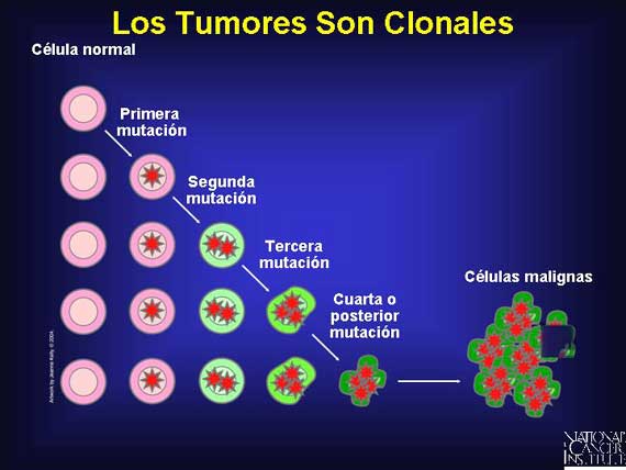 Los Tumores Son Clonales