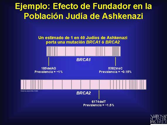 Ejemplo: Efecto de Fundador en la Población Judía de Ashkenazi