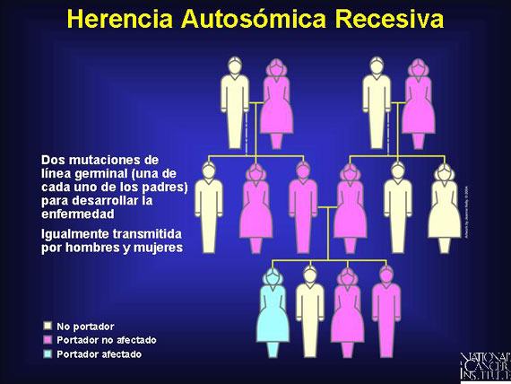 Herencia Autosómica Recesiva